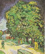 Blooming chestnut trees